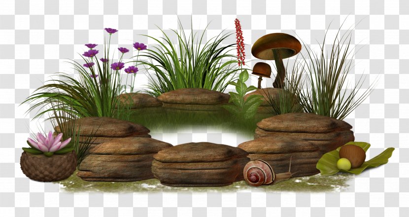 Mushroom Clip Art - Image File Formats - Stone Pond Landscape Transparent PNG