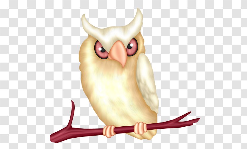 Little Owl Cartoon - Hand-painted Transparent PNG