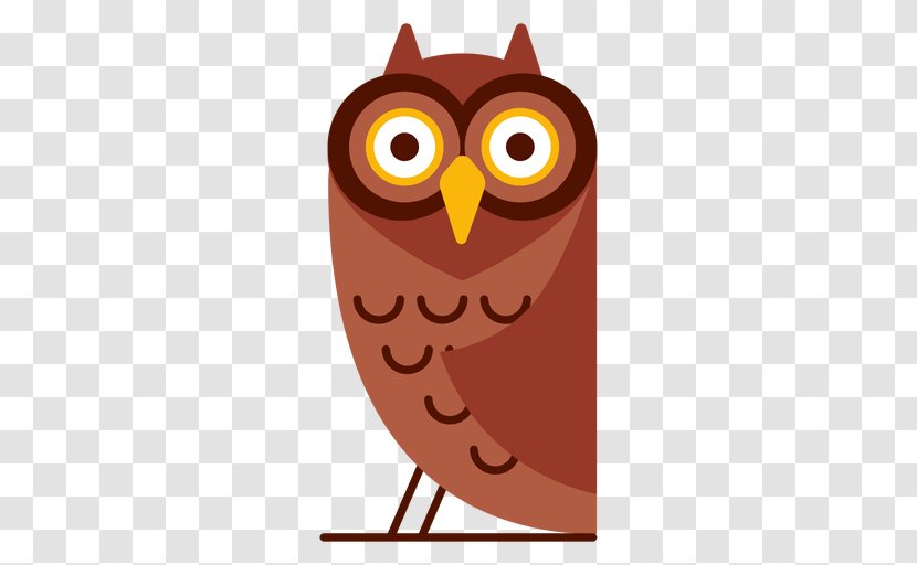 Owl Cartoon - Bird - Screech Branch Transparent PNG