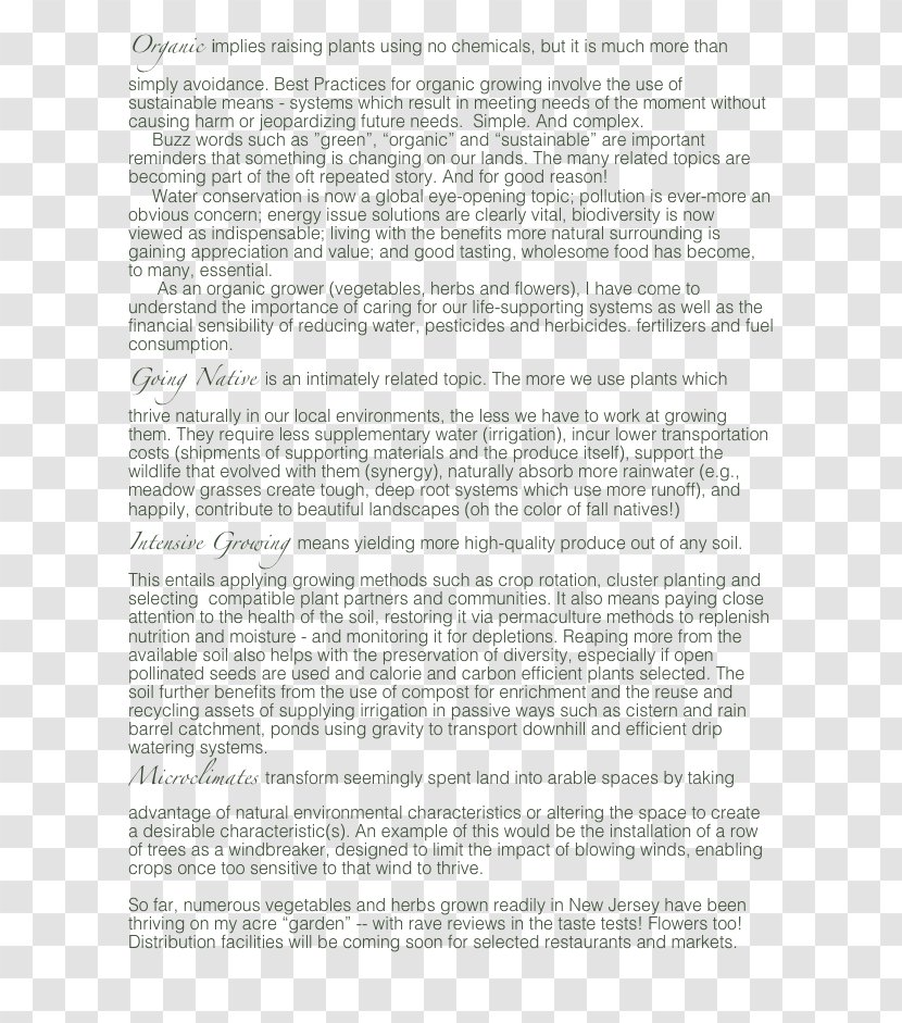 Document Line - Seasonal Solar Terms Transparent PNG