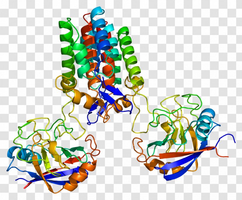 Peptidylprolyl Isomerase A Cyclophilin D - Gene - Catalysis Transparent PNG