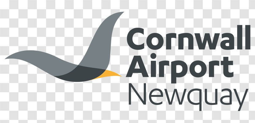 Newquay Logo Airplane Airport Aircraft - Aviation Transparent PNG