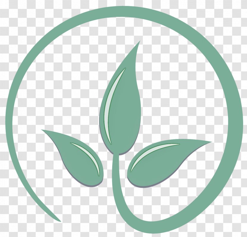 Green Leaf Plant Eucalyptus Logo - Flower Transparent PNG