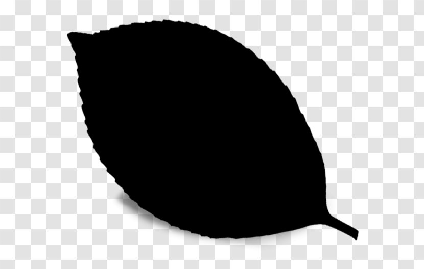 Black & White - M - Leaf Line Transparent PNG