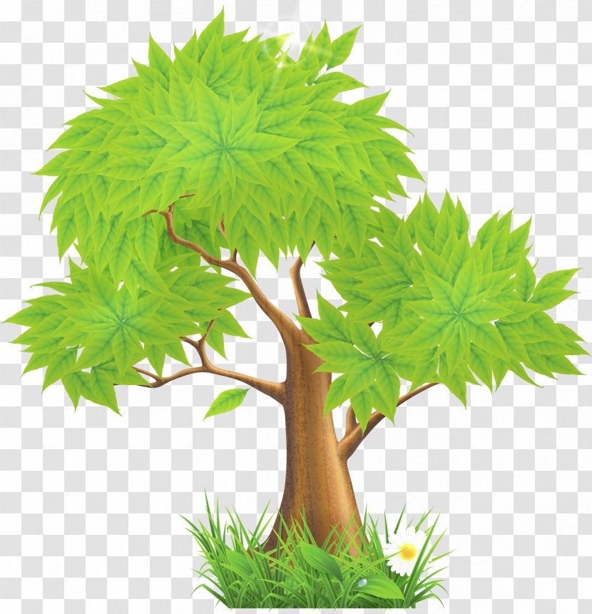 Clip Art Openclipart Tree Free Content - Document - Summer Vector Cartoon Painted Transparent PNG