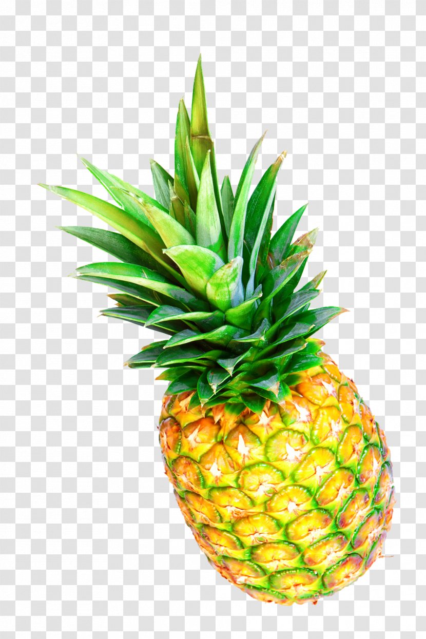 Pineapple Tropical Fruit Photography - Pattern Transparent PNG