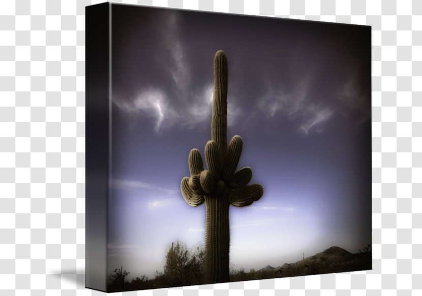 Citroën Cactus M Stock Photography Sky Plc - Painting Transparent PNG