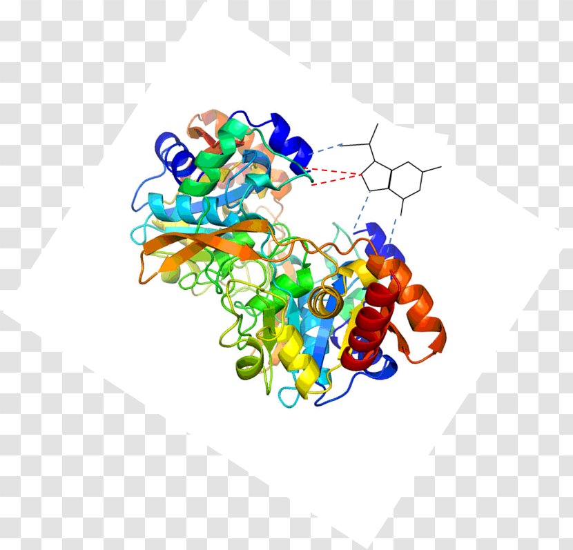 Protein Structure Line Clip Art Transparent PNG