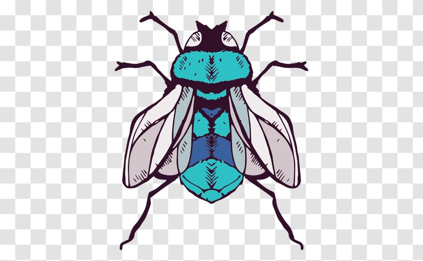 Fly Clip Art - Pest - Ilustracion Transparent PNG