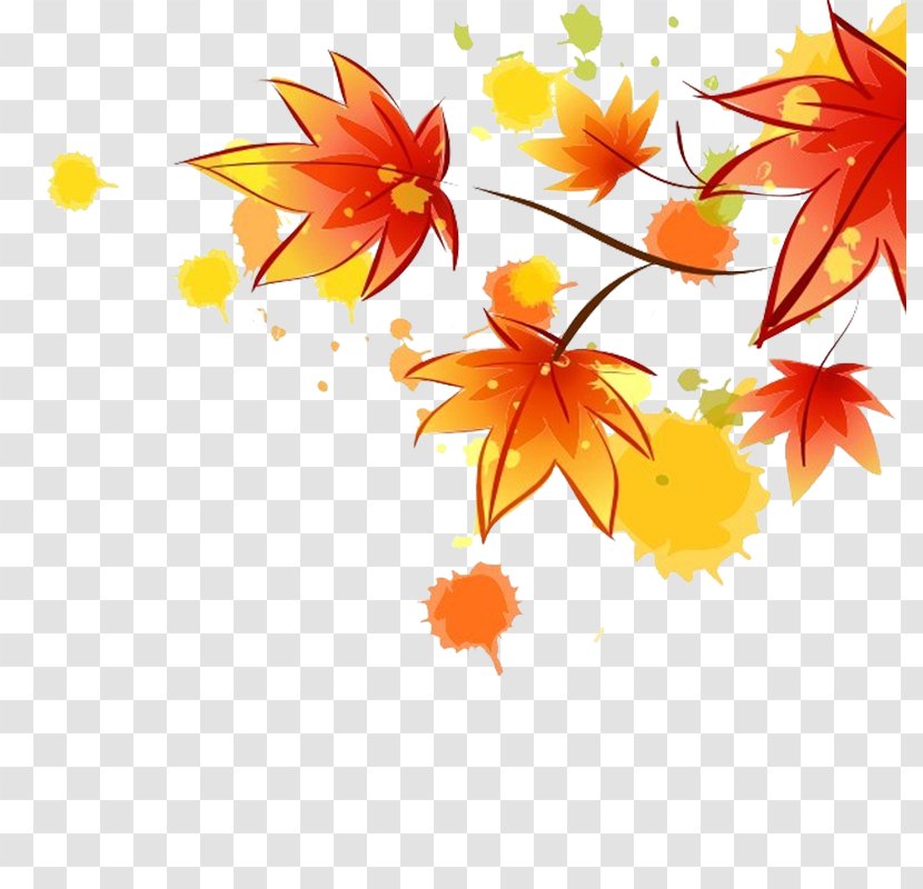 Autumn Maple Leaf Download - Flower - Leaves Transparent PNG