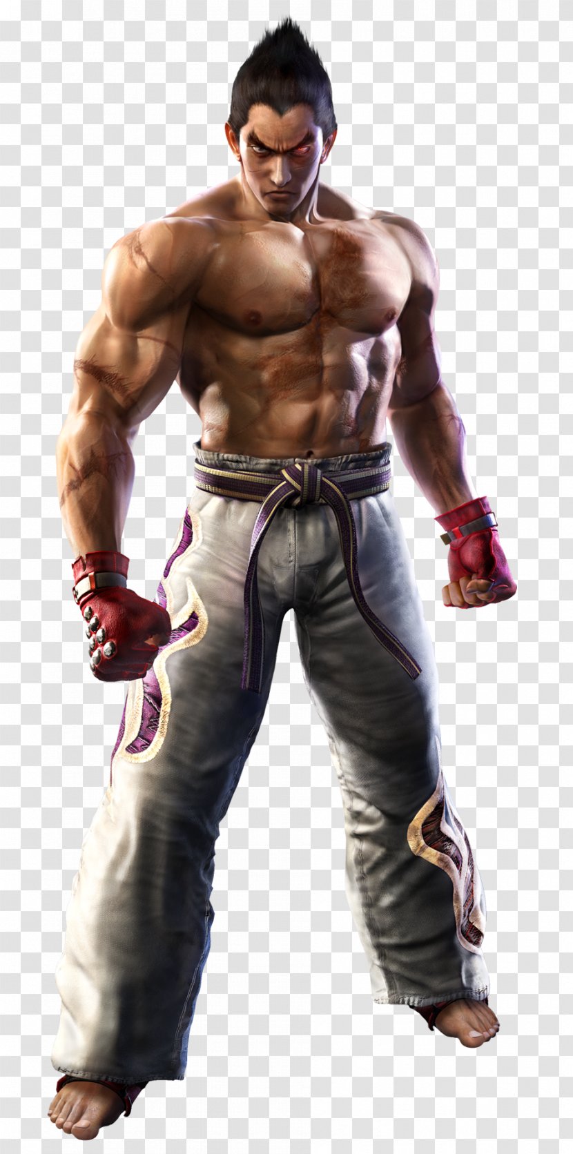 Kazuya Mishima Tekken 6: Bloodline Rebellion 5 Tag Tournament 2 - Tree Transparent PNG