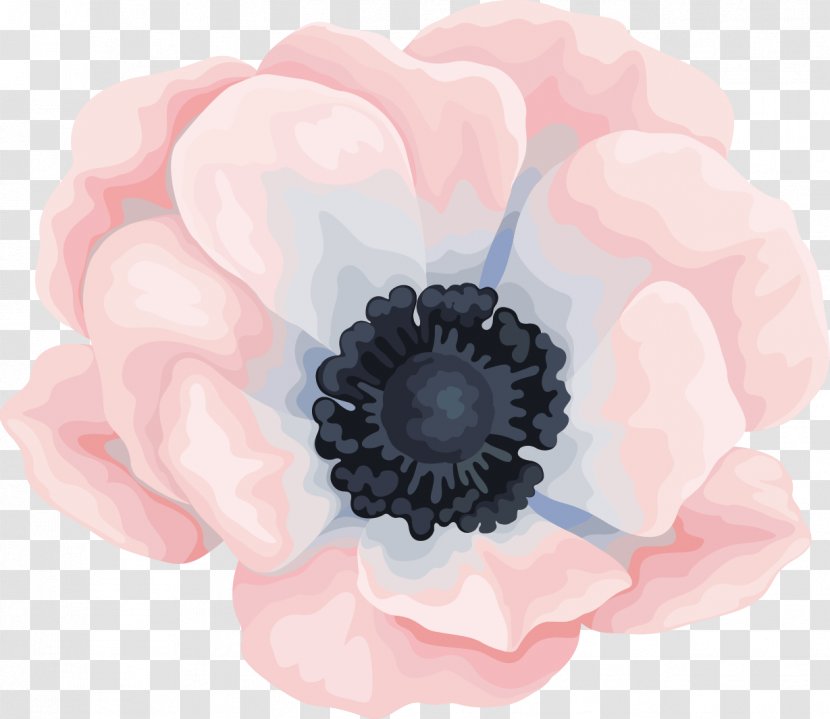 Watercolour Flowers Watercolor Painting Canvas - Poppy - Cartoon Floral Decoration Transparent PNG