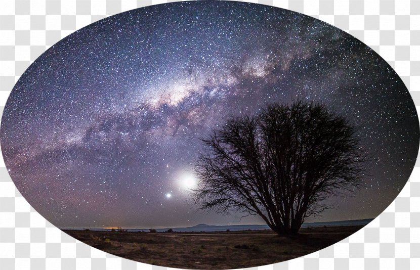Atacama Desert Milky Way Photography Night Sky - Tree - Starry Transparent PNG