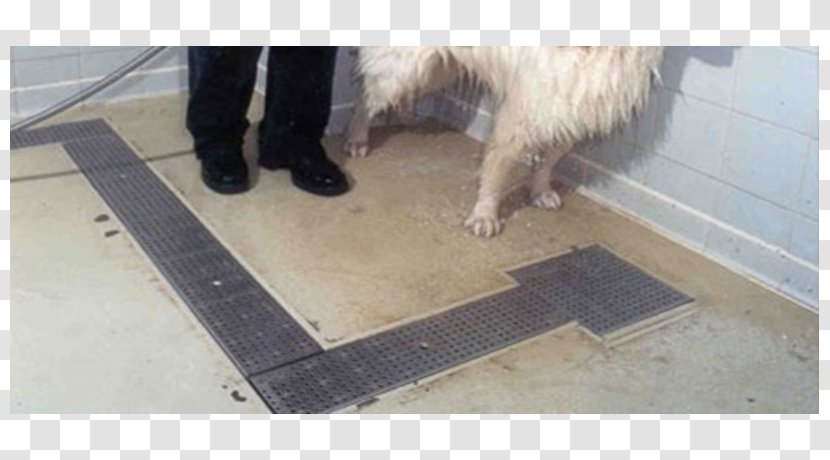 Floor Drain Drainage Trench - Dog Breed Group - Technology Stripes Transparent PNG