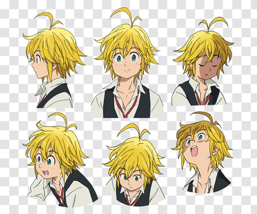 Meliodas The Seven Deadly Sins Cosplay - Flower - Tree Transparent PNG
