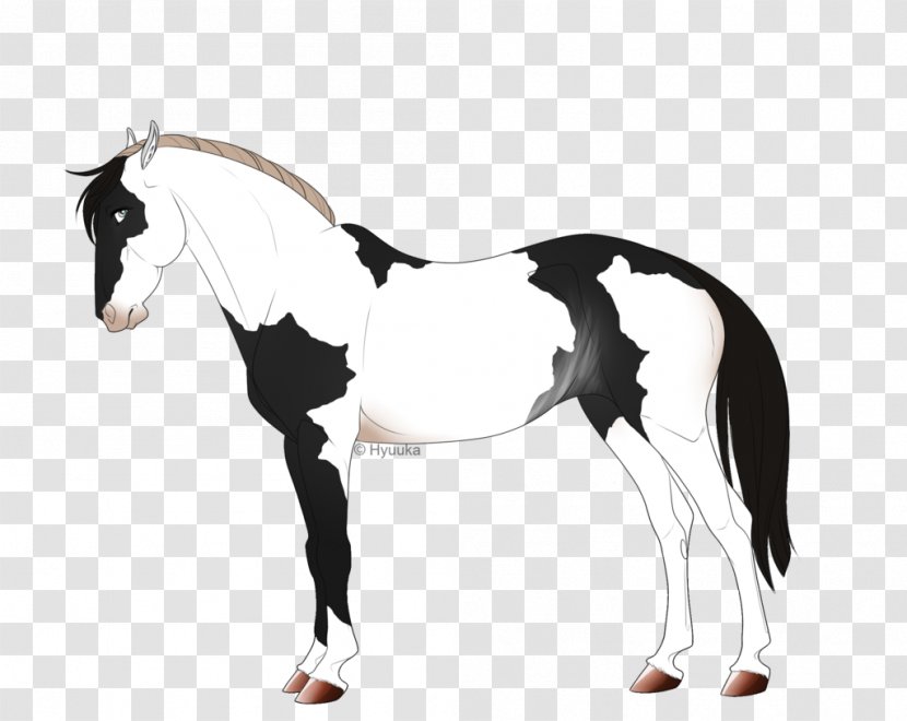 Mane Mustang Stallion Foal Colt - Horse Tack Transparent PNG