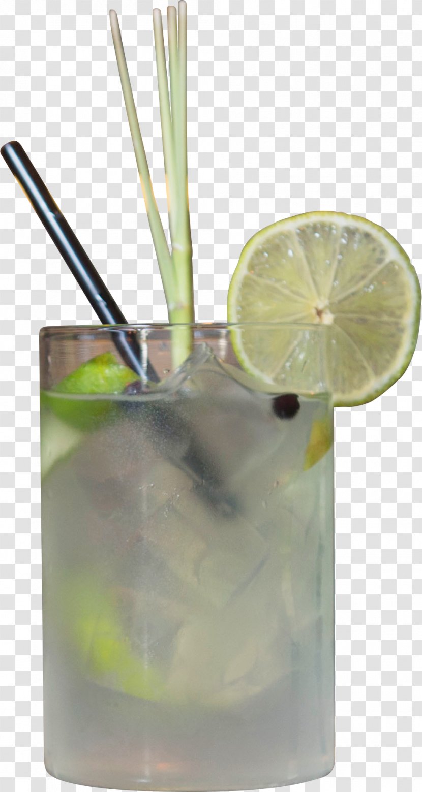 Gin And Tonic Vodka Cocktail Garnish Caipirinha Transparent PNG