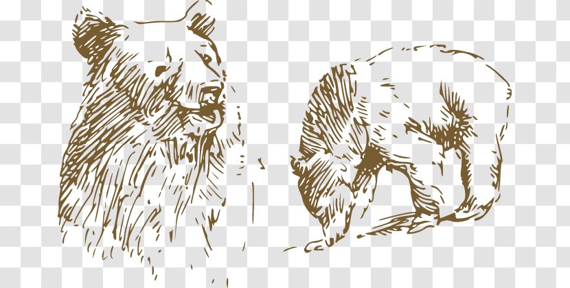 Tiger American Black Bear Asian - Tree - Painted Transparent PNG