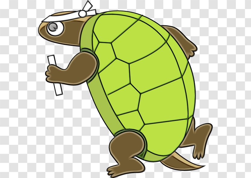 Tortoise Turtle Pond Sea Clip Art - Box - Reptile Transparent PNG