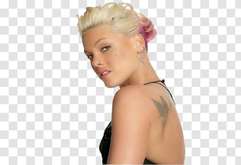 P!nk Singer-songwriter Musician Actor - Silhouette Transparent PNG