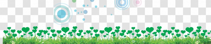 Brand Graphic Design Grasses Energy Wallpaper - Grass Family - Leaves Of Transparent PNG