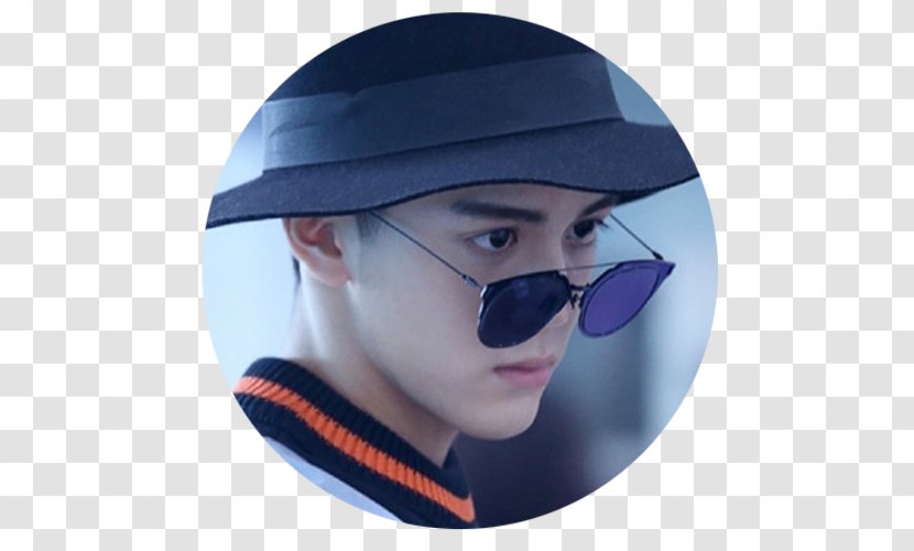 Goggles Sunglasses New York Fashion Week - Personal Protective Equipment Transparent PNG
