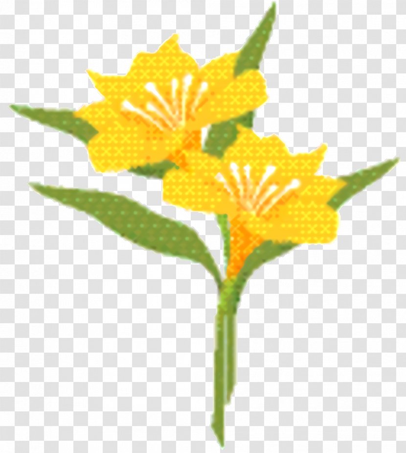 Flowers Background - Lily - Cut Pedicel Transparent PNG