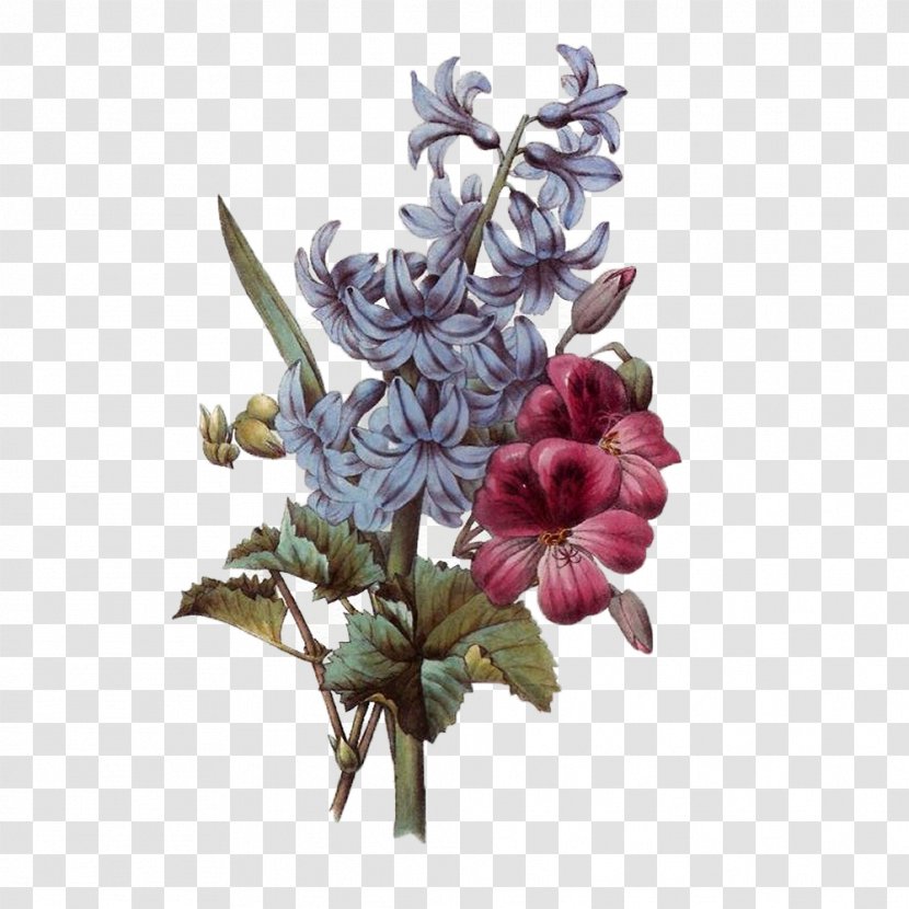 Flower Bouquet Floral Design Botanical Illustration Clip Art - Cut Flowers Transparent PNG