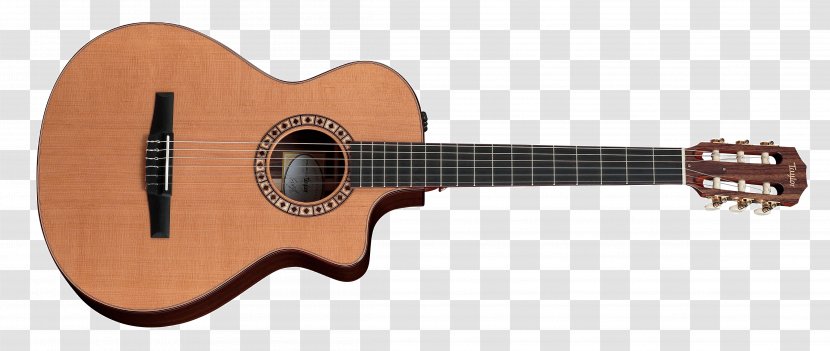 Taylor Guitars GS Mini Acoustic Guitar Musical Instruments - Watercolor Transparent PNG
