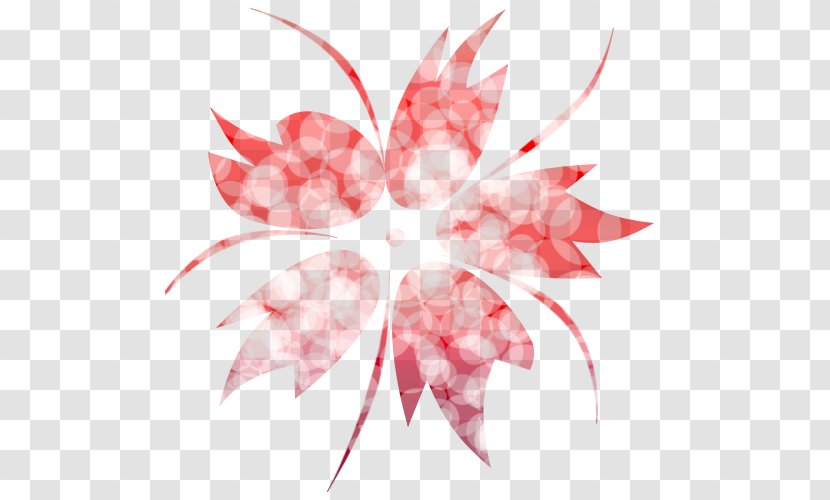 Flower PhotoScape Floral Design - Petal - Photoscape Effects Transparent PNG
