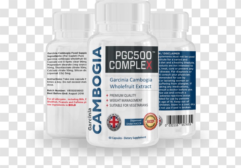 Dietary Supplement Garcinia Cambogia Hydroxycitric Acid Weight Loss Food - Fat - Got The Life Transparent PNG
