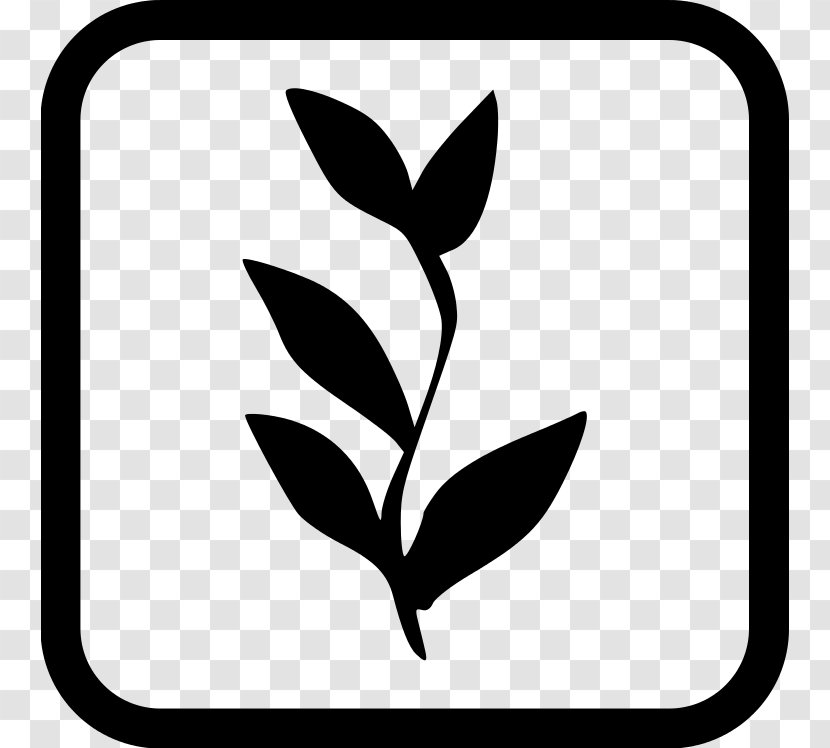 Black & White - Human Musculoskeletal System - M Dietary Supplement Clip Art Plants Plant Stem Transparent PNG