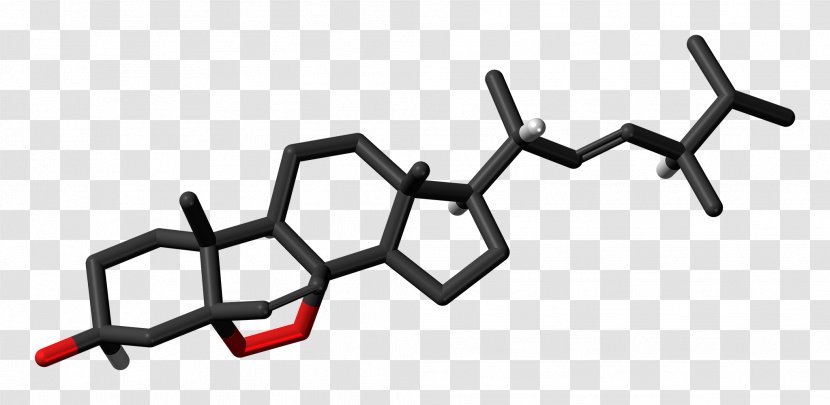 Dehydroepiandrosterone Steroid Hormone Chemistry Cholesterol - Skeleton Transparent PNG