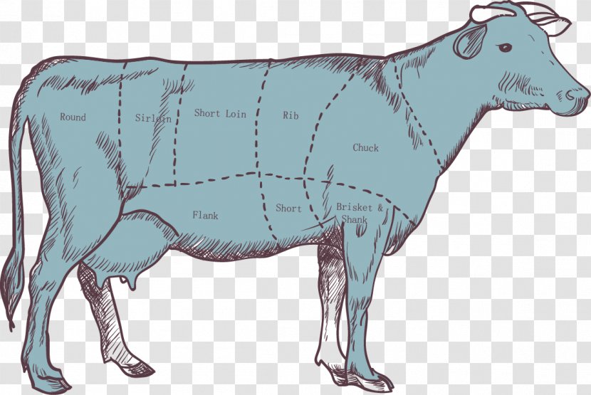 Cattle Calf Beef Meat - Tail - Parts Segmentation Map Transparent PNG