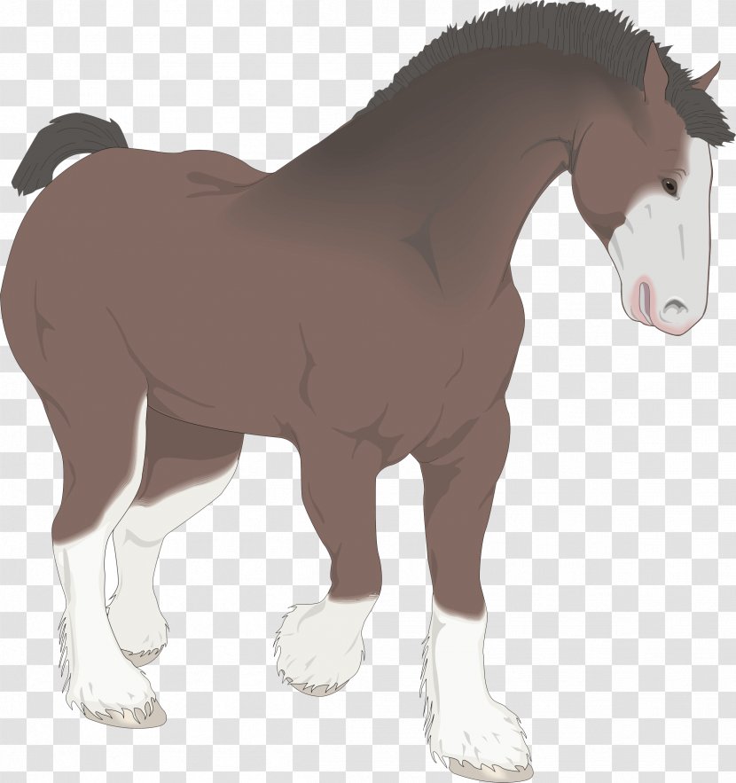 Clydesdale Horse Mare Foal Drawing Clip Art Transparent PNG