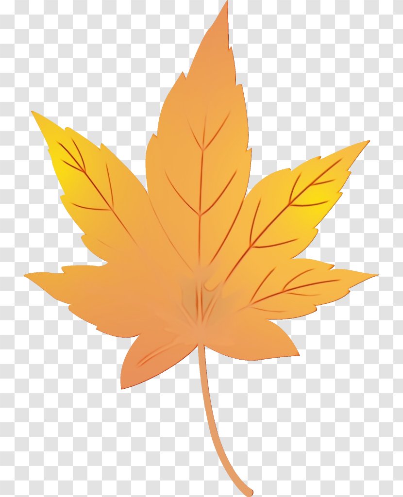 Maple Leaf - Wet Ink - Plane Transparent PNG