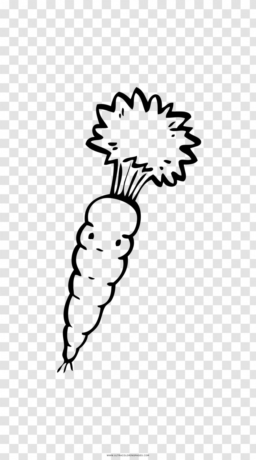 Coloring Book Carrot Drawing Black And White - Line Art Transparent PNG