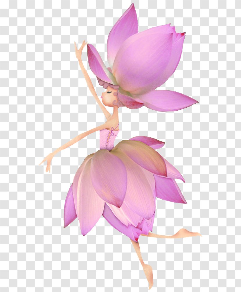 Euclidean Vector - Flower - Lotus Elf Transparent PNG