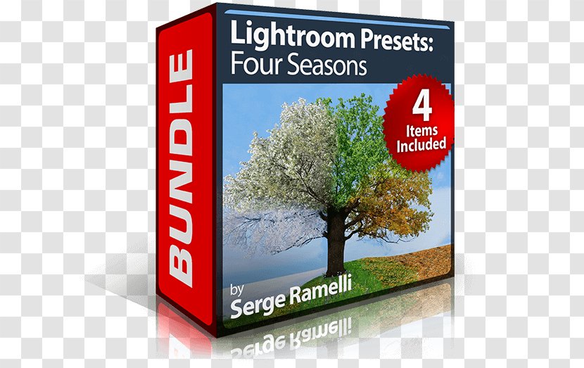 Seasons Tutorial Adobe Lightroom Book - Tree - Four Transparent PNG