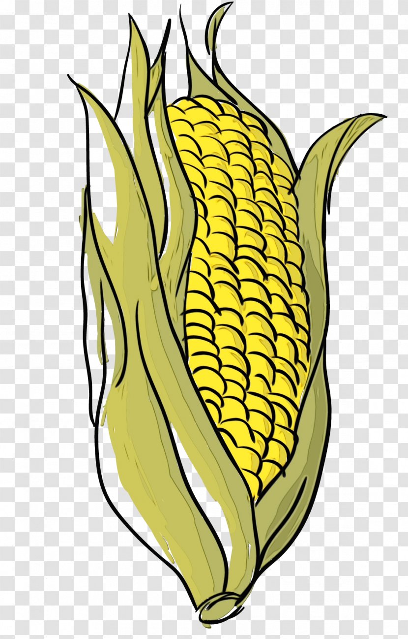 Plant Leaf - Corn On The Cob - Vegetarian Food Transparent PNG