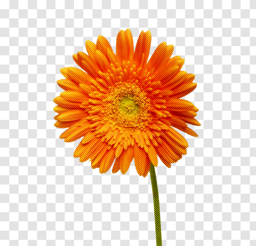 Artificial Flower Transparent PNG