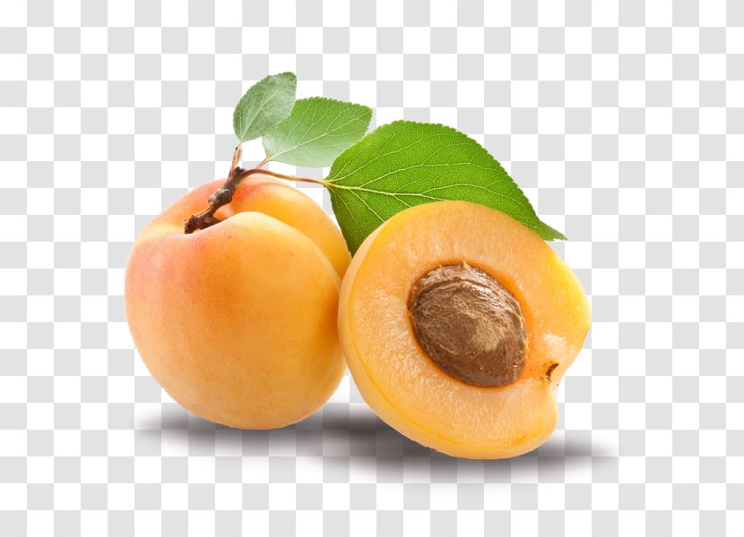 Apricot Kernel Oil Amygdalin - Burusho People Transparent PNG
