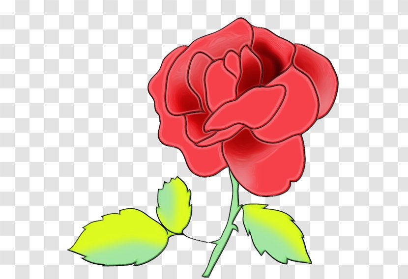 Garden Roses - Red - China Rose Pedicel Transparent PNG