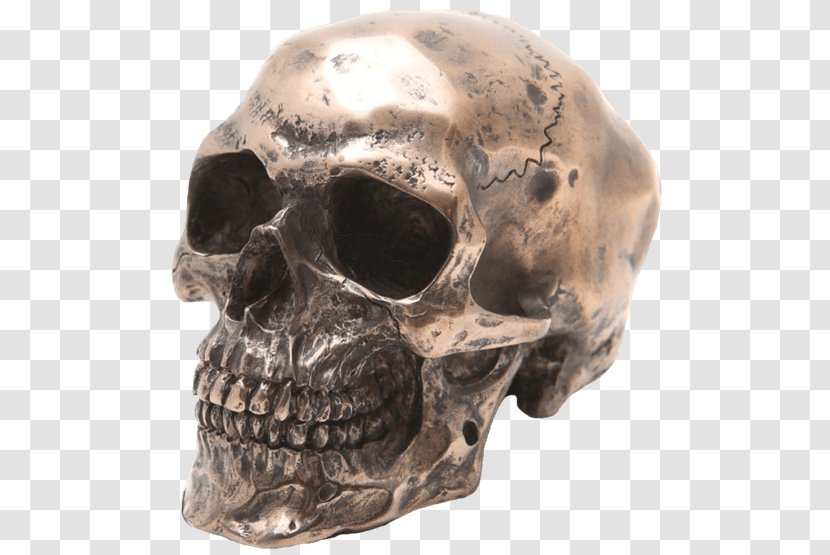 Skull Figurine Human Skeleton Sculpture Resin Casting Transparent PNG