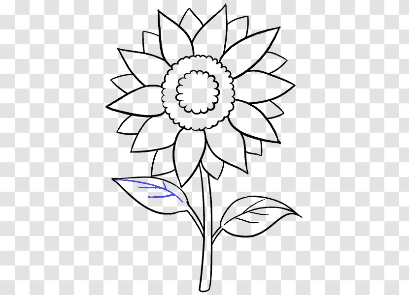 Drawing Common Sunflower Art Sketch - Petal - Leaf Transparent PNG