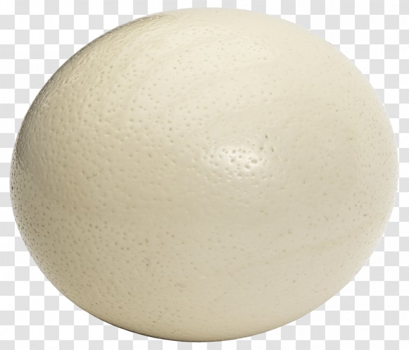 Common Ostrich Chicken Egg Bird Meat Transparent PNG