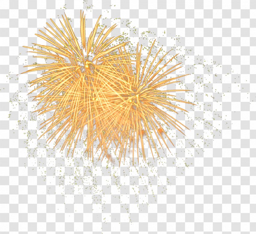 Fireworks Pyrotechnics - Autumn Transparent PNG