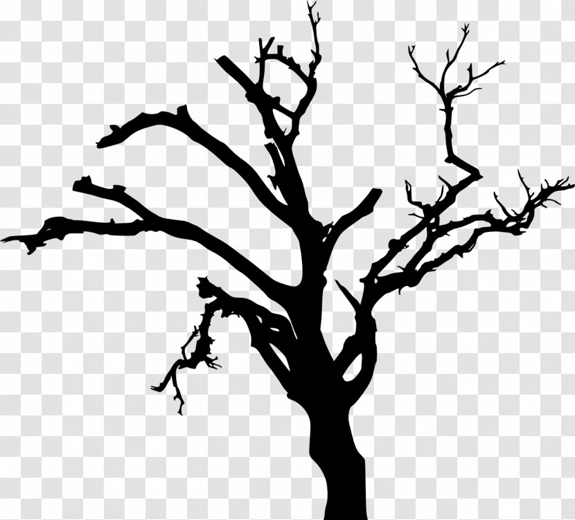 Tree Silhouette Clip Art - Photography Transparent PNG
