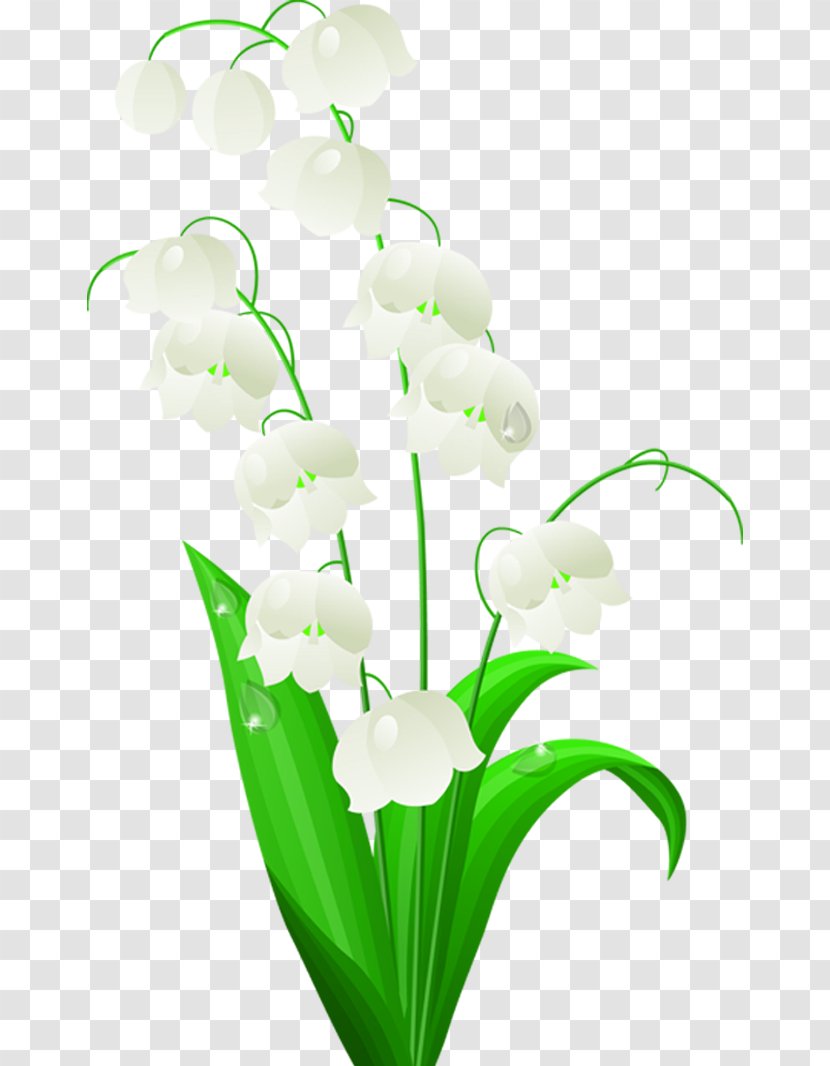 Lily Of The Valley Tattoo Flower Lilium Lilies Japan - Water - White Cartoon Design Transparent PNG