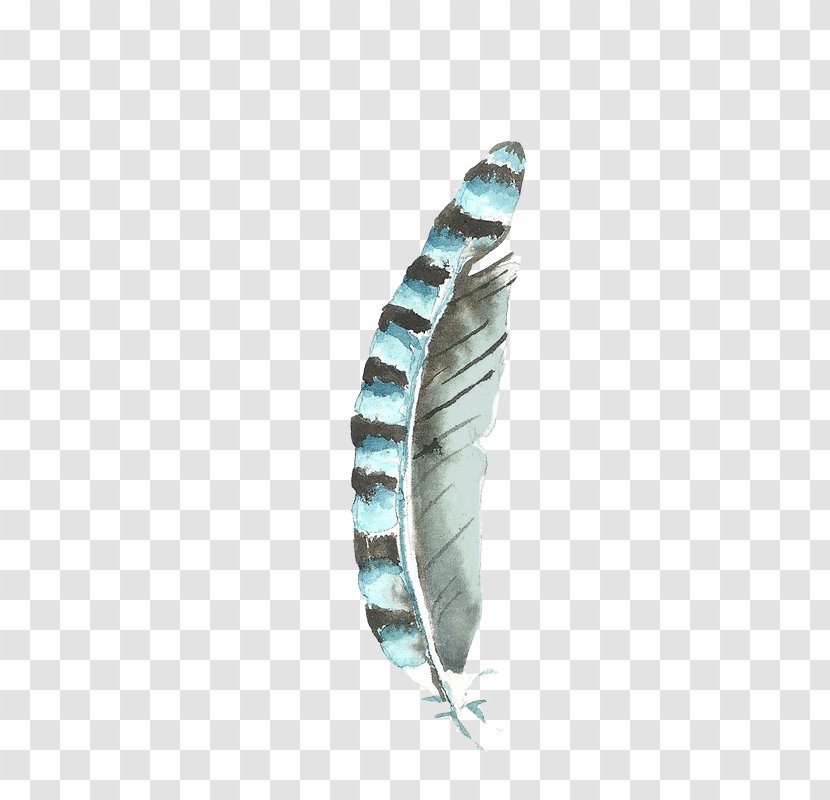 Watercolor Painting Feather - Aqua Transparent PNG